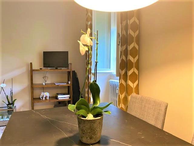 Duchi Di Castro Chic Lejlighed Rom Eksteriør billede